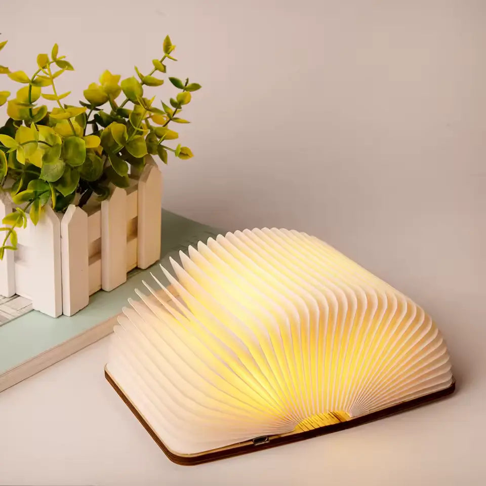 Enchanted Book Lamp