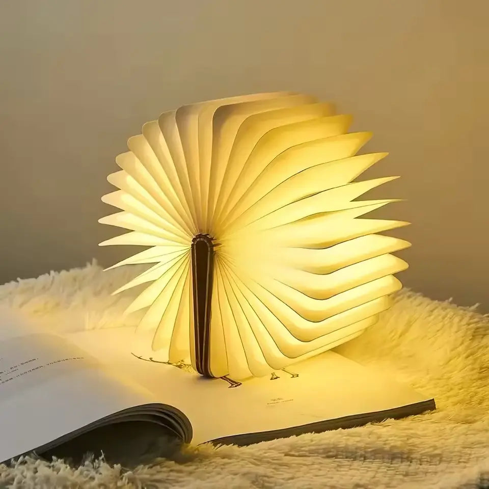 Enchanted Book Lamp